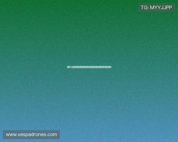 汉堡vs法兰克福焦点对决赛季走势与战术博弈全解析关键前瞻深度